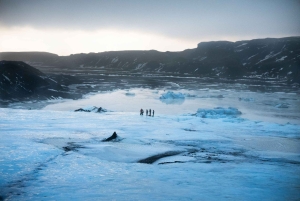 Reykjavík: Sydkystens vidundere og nordlystur