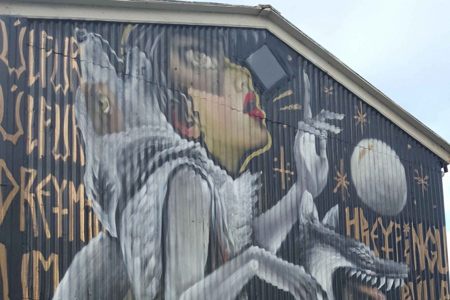 Reykjavik: Street Art Walking Tour