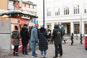 Reykjavik: Street Food Walking Tour