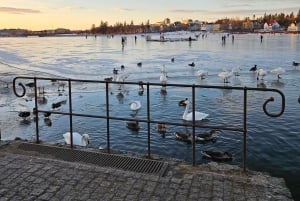 Reykjavik: Street Food Walking Tour