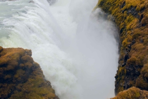 Reykjavik: Full-Day Golden Circle & Geothermal Greenhouse