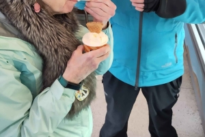 Reykjavik: de IJslandse tour voor zoetekauwen