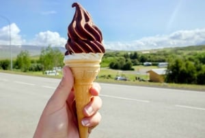 Reykjavik: The Private Gourmet Golden Circle Tour