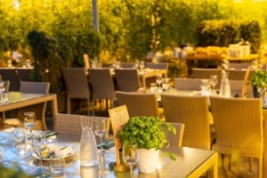 Reykjavik: The Private Gourmet Golden Circle Tour