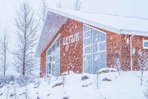 Reykjavik: The Private Gourmet Golden Circle Tour