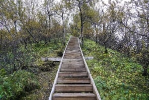 Reykjavik: Thorsmork Valley and Gigjokull Glacier Tour