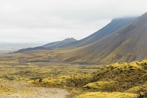 Reykjavik: Vulkanen Thrihnukagigur - guidet vandredagstur