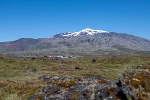 Reykjavik: Total Solar Eclipse Day Tour