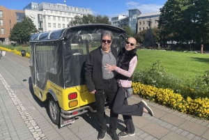 レイキャビク トゥクトゥク ツアー