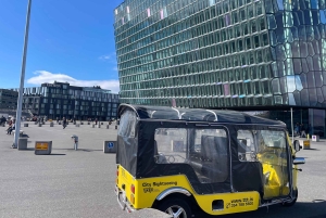 レイキャビク トゥクトゥク ツアー