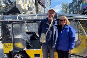 レイキャビク トゥクトゥク ツアー