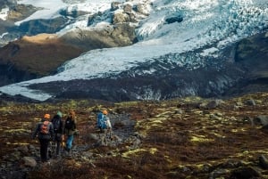 Reykjavik: Vatnajökull gletsjerwandeling & Jökulsárlón w/ Foto's