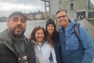 Reykjavik: Vikings Culinary Tales