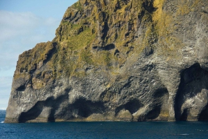 Reykjavik: Westman Islands Private Tour