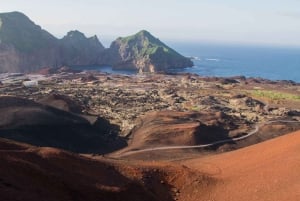 Reykjavik: Westman Islands Private Tour