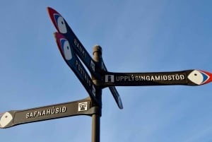 Reykjavik: Westman Islands Private Tour