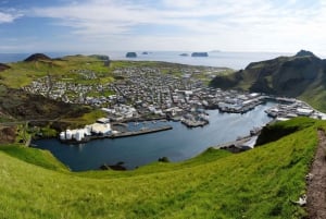 Reykjavik: Westman Islands Private Tour
