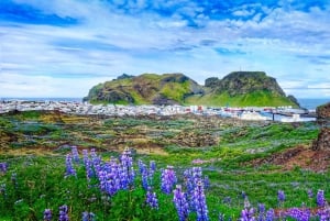 Reykjavik: Westman Islands Private Tour