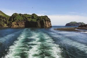 Reykjavik: Westman Islands Private Tour