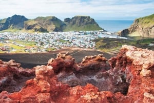 Reykjavik: wycieczka prywatna na Wyspy Westman