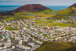 Reykjavik: wycieczka prywatna na Wyspy Westman