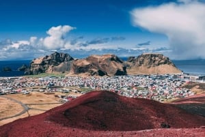 Reykjavik: wycieczka prywatna na Wyspy Westman