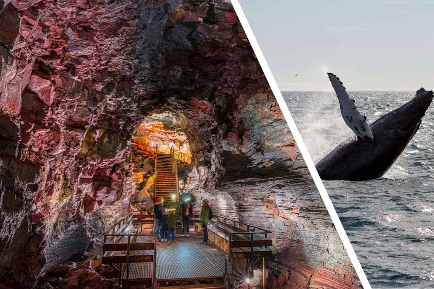 Reykjavik: Whale Watching and Lava Tunnel Combo Tour