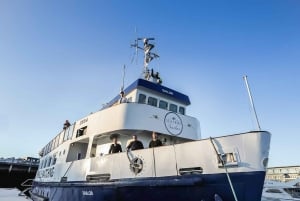 Reykjavík: Cruzeiro de observação de baleias e vida marinha