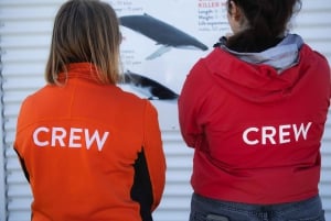 Reykjavik: Hvalsafari og lundefugleudflugt