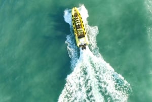 Reikiavik: Avistamiento de ballenas en lancha rápida RIB