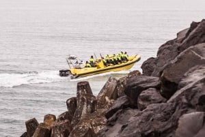 Reykjavik: Valskådning med RIB Speedboat