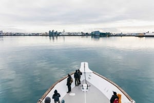 Reykjavík: cruise om walvissen te spotten op het Amelia Rose Yacht