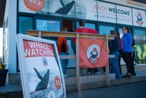 Reykjavik: Expedição matinal para observação de baleias