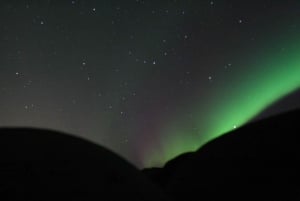 Reykjavik: osservazione delle balene e crociera combinata dell'aurora boreale
