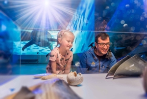 Reykjavik: Hvalsafari, udstilling om Islands hvaler