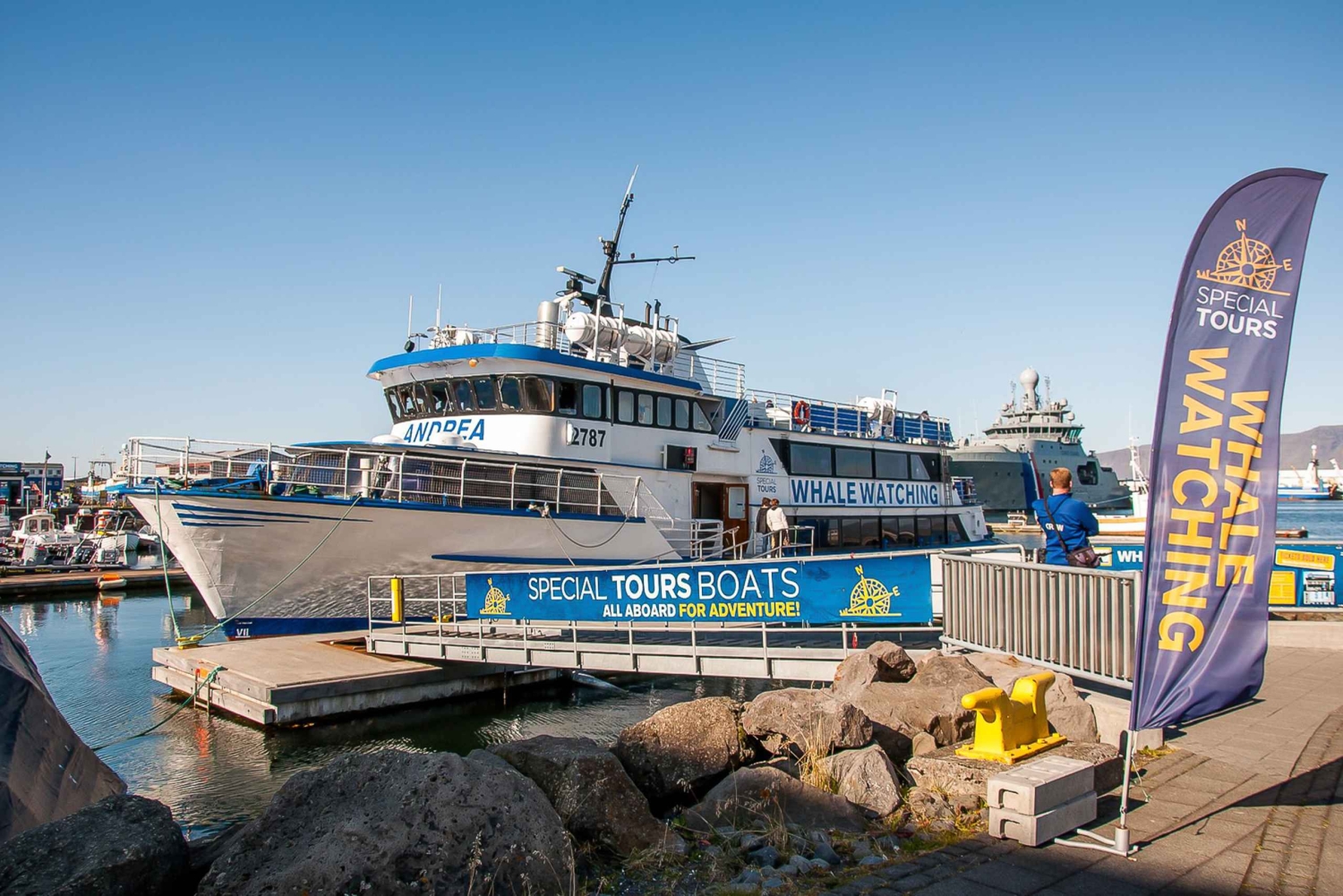 Reykjavik: Whale Watching Tour with Expert Guide