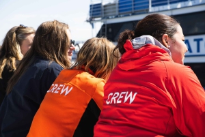 Reykjavik: Whale Watching Tour with Express Option