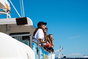 Reykjavik: Whale Watching Tour with Express Option
