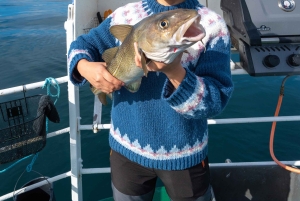 Najlepszy połów w Reykjaviku: wycieczka z przewodnikiem po wędkarstwie morskim