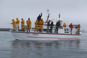 Najlepszy połów w Reykjaviku: wycieczka z przewodnikiem po wędkarstwie morskim