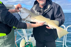 Najlepszy połów w Reykjaviku: wycieczka z przewodnikiem po wędkarstwie morskim