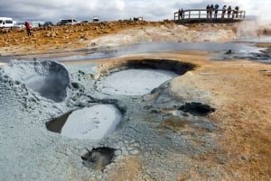 Reykjavík: Tour di 8 giorni del Circolo d'Islanda in auto