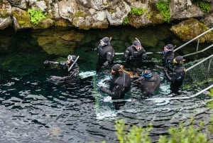 Silfra: Fissure Snorkeling Tour with Underwater Photos