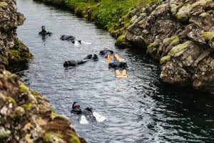 Silfra: Fissure Snorkeling Tour with Underwater Photos