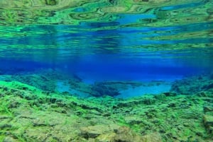 Silfra: Fissure Snorkeling Tour with Underwater Photos