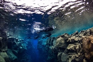 Silfra: Snorkeling między płytami tektonicznymi, spotkajmy się na miejscu
