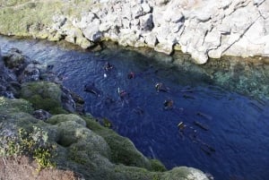 Silfra: Snorkeling entre placas tectônicas, encontro no local