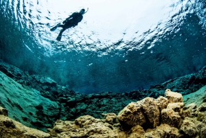 Silfra: Snorkeltur mellem tektoniske plader
