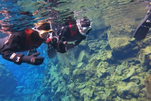 Silfra: Snorkeltur mellem tektoniske plader