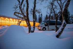 スカールファバッキ：ゴールデンサークル小グループ1日ツアー